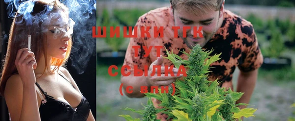 ГАЛЛЮЦИНОГЕННЫЕ ГРИБЫ Баксан