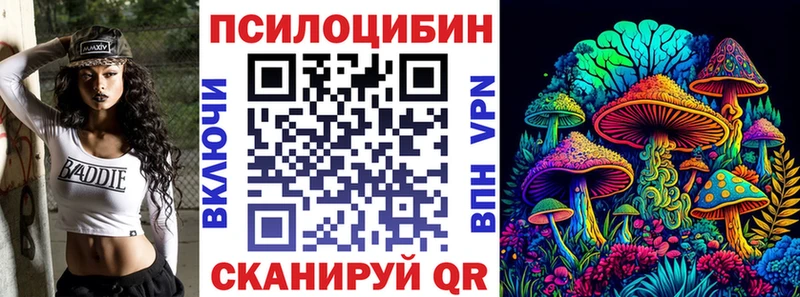 Галлюциногенные грибы Psilocybine cubensis  Велиж 