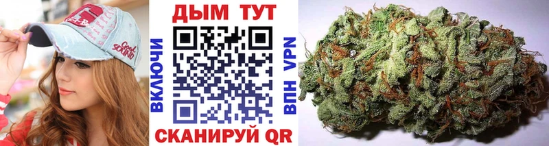 где купить наркотик  Велиж  Шишки марихуана SATIVA & INDICA 